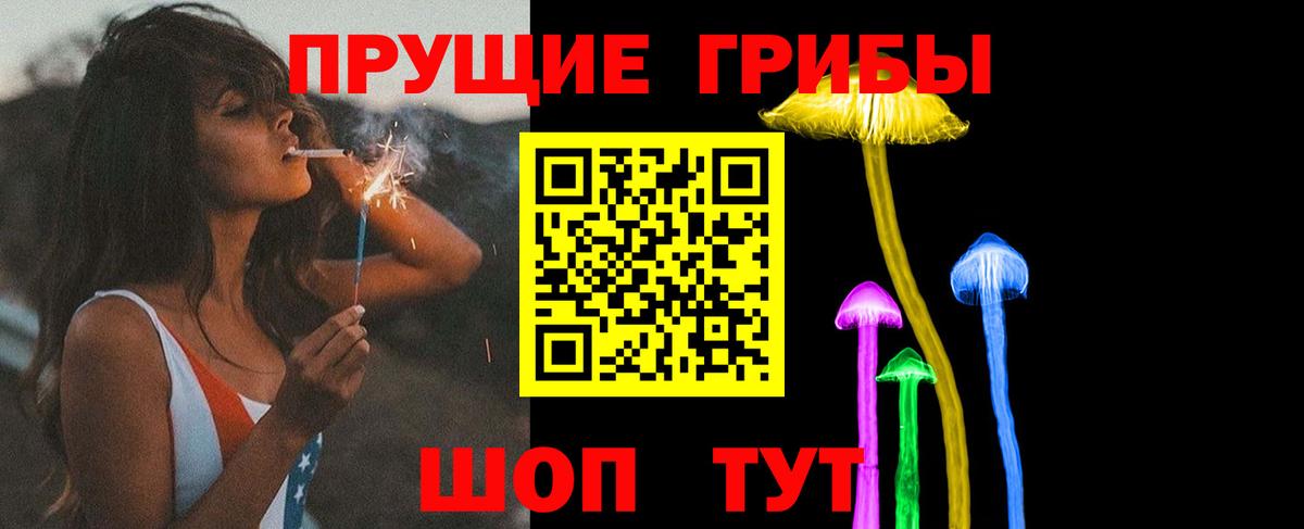Можга  Галлюциногенные грибы Cubensis  Вход с VPN 
